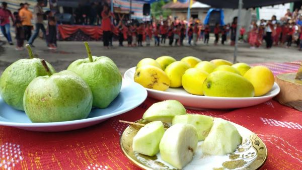 Festival dan komoditi lokal